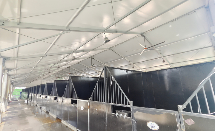 Horse Riding Arena Tent application